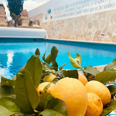 Nyaraló Authentic Canary Style With Private Pool And Garden- Casa Juan Vera Granadilla de Abona