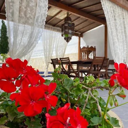 Authentic Canary Style With Private Pool And Garden- Casa Juan Vera Granadilla De Abona