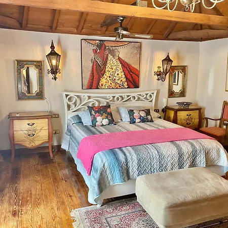 Authentic Canary Style With Private Pool And Garden- Casa Juan Vera *